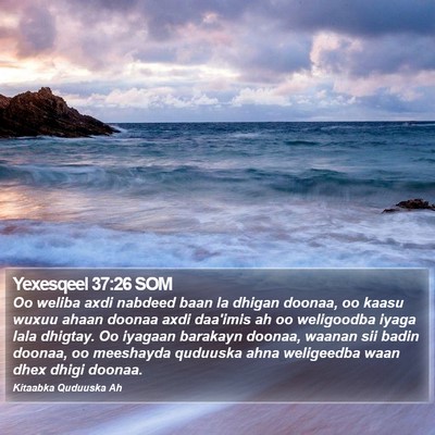 Yexesqeel 37:26 SOM Bible Verse Image