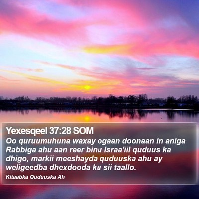 Yexesqeel 37:28 SOM Bible Verse Image