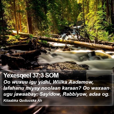 Yexesqeel 37:3 SOM Bible Verse Image
