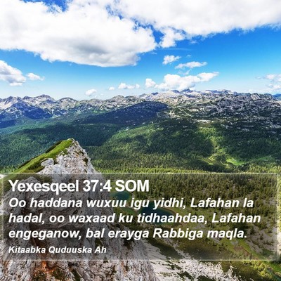 Yexesqeel 37:4 SOM Bible Verse Image