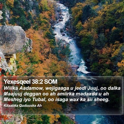 Yexesqeel 38:2 SOM Bible Verse Image