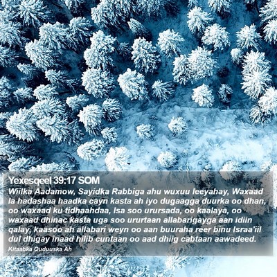 Yexesqeel 39:17 SOM Bible Verse Image