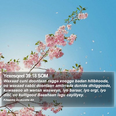 Yexesqeel 39:18 SOM Bible Verse Image