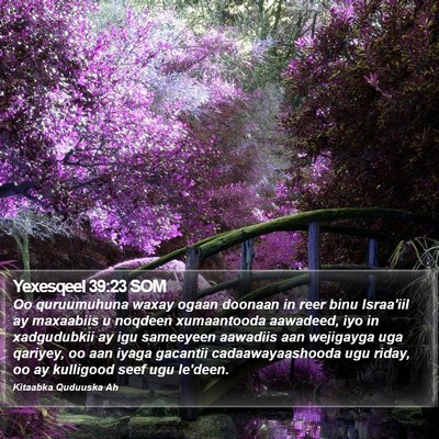 Yexesqeel 39:23 SOM Bible Verse Image