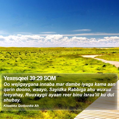 Yexesqeel 39:29 SOM Bible Verse Image