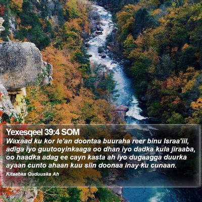 Yexesqeel 39:4 SOM Bible Verse Image