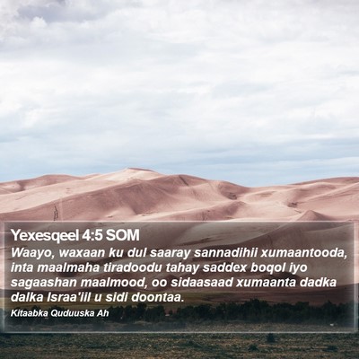 Yexesqeel 4:5 SOM Bible Verse Image