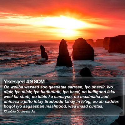 Yexesqeel 4:9 SOM Bible Verse Image