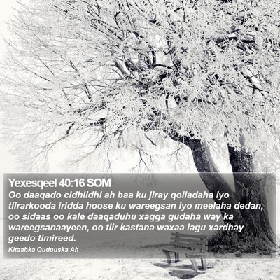 Yexesqeel 40:16 SOM Bible Verse Image