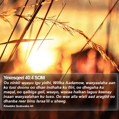 Yexesqeel 40:4 SOM Bible Verse Image