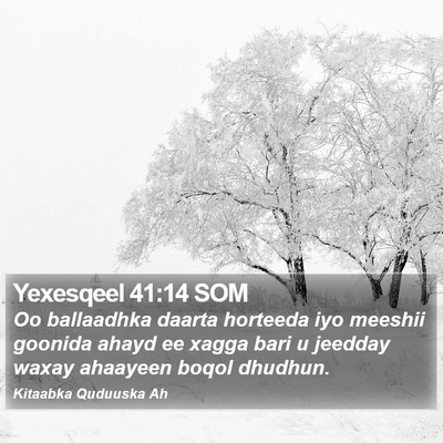 Yexesqeel 41:14 SOM Bible Verse Image
