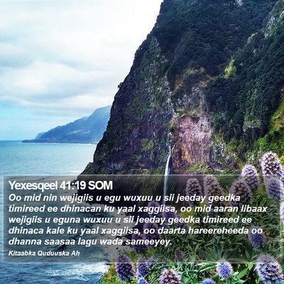Yexesqeel 41:19 SOM Bible Verse Image