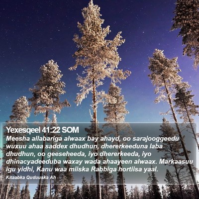 Yexesqeel 41:22 SOM Bible Verse Image