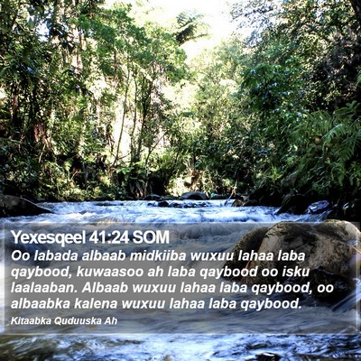 Yexesqeel 41:24 SOM Bible Verse Image