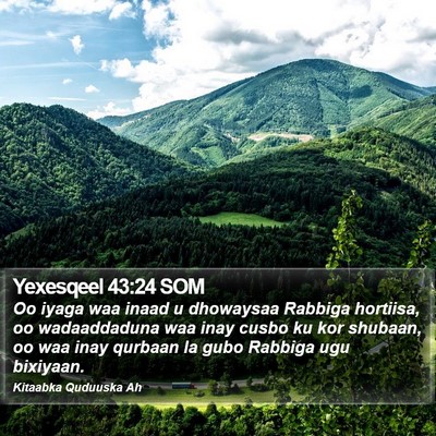 Yexesqeel 43:24 SOM Bible Verse Image