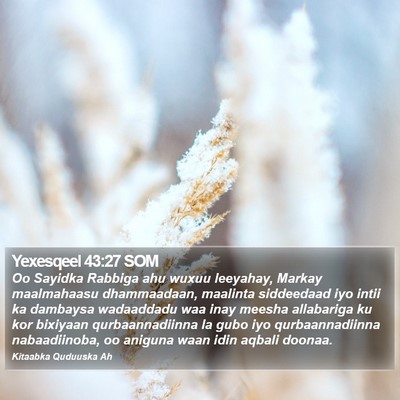 Yexesqeel 43:27 SOM Bible Verse Image