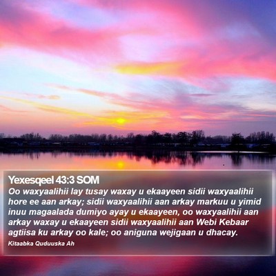 Yexesqeel 43:3 SOM Bible Verse Image