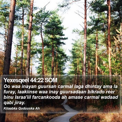Yexesqeel 44:22 SOM Bible Verse Image