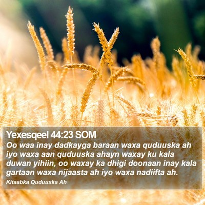 Yexesqeel 44:23 SOM Bible Verse Image