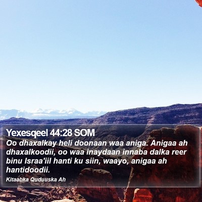 Yexesqeel 44:28 SOM Bible Verse Image