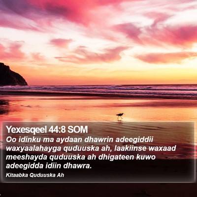 Yexesqeel 44:8 SOM Bible Verse Image