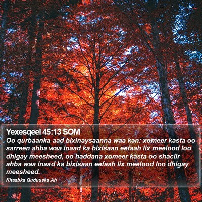Yexesqeel 45:13 SOM Bible Verse Image
