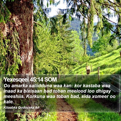 Yexesqeel 45:14 SOM Bible Verse Image