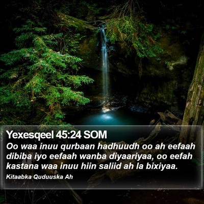 Yexesqeel 45:24 SOM Bible Verse Image