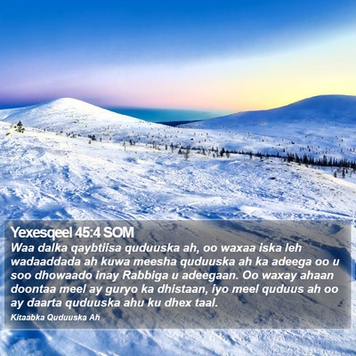 Yexesqeel 45:4 SOM Bible Verse Image