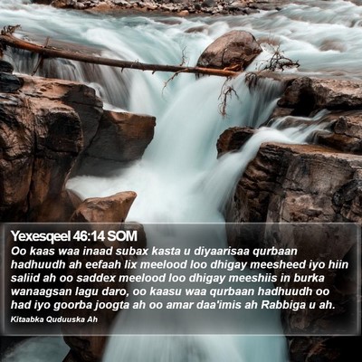 Yexesqeel 46:14 SOM Bible Verse Image