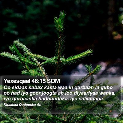 Yexesqeel 46:15 SOM Bible Verse Image