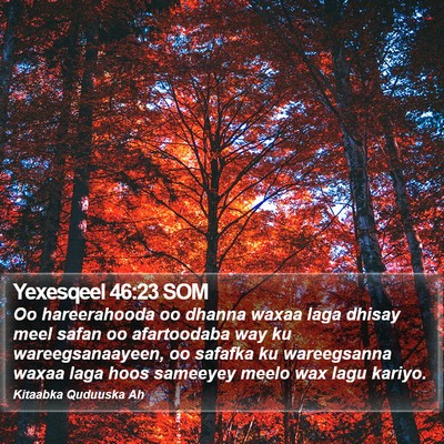 Yexesqeel 46:23 SOM Bible Verse Image