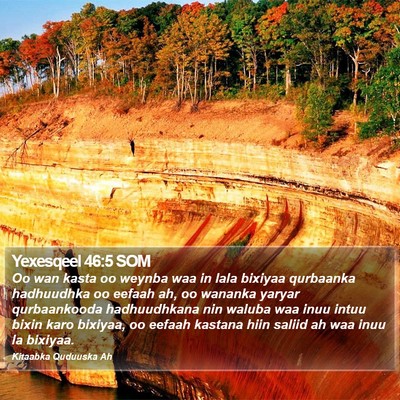 Yexesqeel 46:5 SOM Bible Verse Image