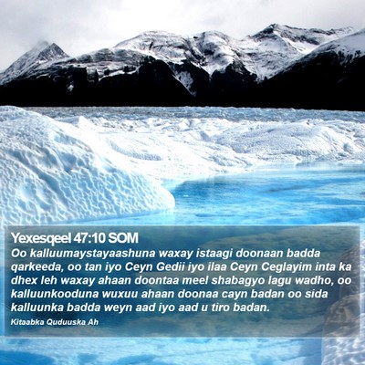 Yexesqeel 47:10 SOM Bible Verse Image