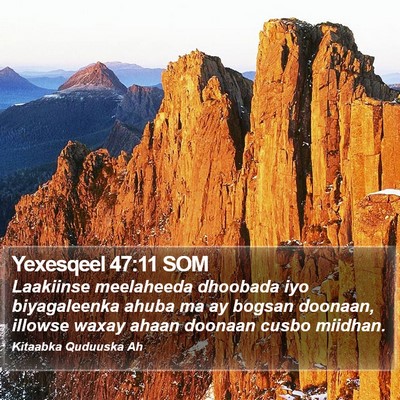 Yexesqeel 47:11 SOM Bible Verse Image