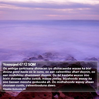 Yexesqeel 47:12 SOM Bible Verse Image