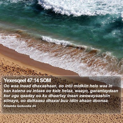 Yexesqeel 47:14 SOM Bible Verse Image