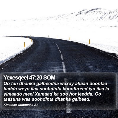 Yexesqeel 47:20 SOM Bible Verse Image
