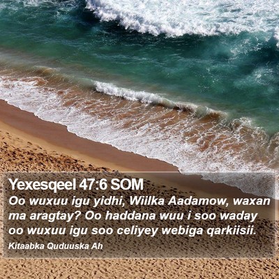 Yexesqeel 47:6 SOM Bible Verse Image