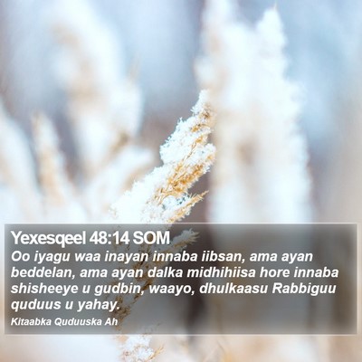 Yexesqeel 48:14 SOM Bible Verse Image