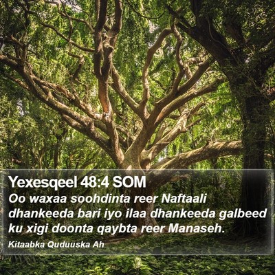 Yexesqeel 48:4 SOM Bible Verse Image