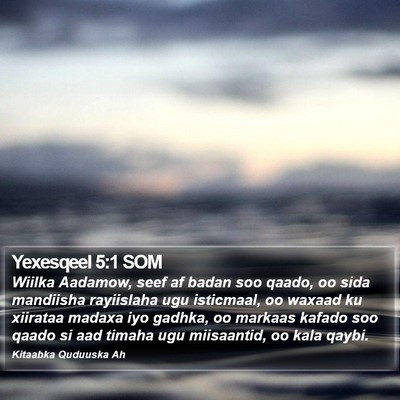 Yexesqeel 5:1 SOM Bible Verse Image