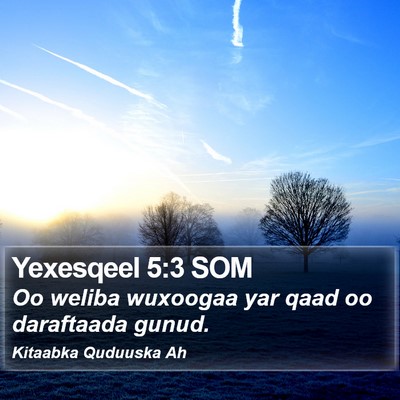 Yexesqeel 5:3 SOM Bible Verse Image