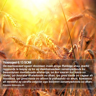 Yexesqeel 6:13 SOM Bible Verse Image