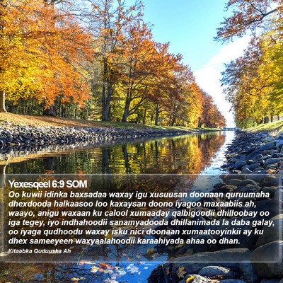 Yexesqeel 6:9 SOM Bible Verse Image