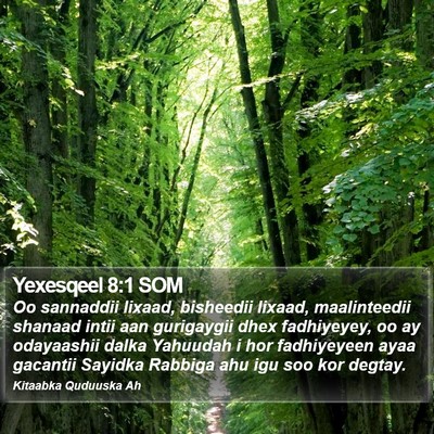 Yexesqeel 8:1 SOM Bible Verse Image