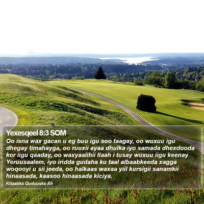 Yexesqeel 8:3 SOM Bible Verse Image