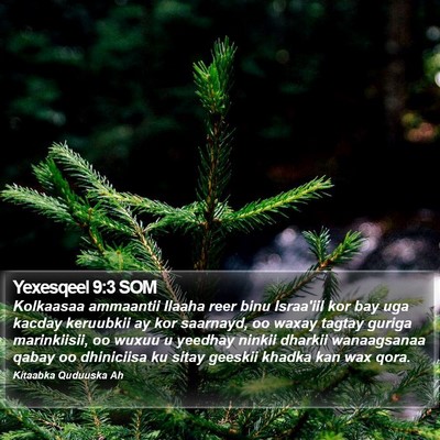 Yexesqeel 9:3 SOM Bible Verse Image