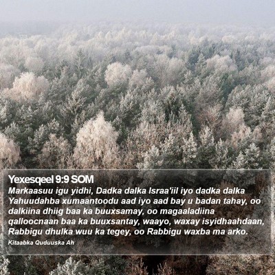 Yexesqeel 9:9 SOM Bible Verse Image
