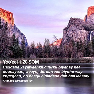 Yoo'eel 1:20 SOM Bible Verse Image